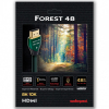 AudioQuest HDMI Forest 48 0,6 m