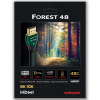 AudioQuest HDMI Forest 48 2 m