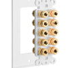 Fosmon 5.0 Surround Sound Wall Plate