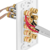 Fosmon 5.0 Surround Sound Wall Plate