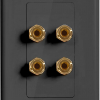Акустическая розетка Fosmon Wall Plate - 2 Speakers BL