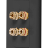 Акустическая розетка Fosmon Wall Plate - 2 Speakers BL