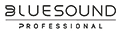 Bluesound Professional