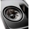 Polk Audio L900 (Black) НЧ диффузор