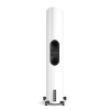 Dali EPIKORE 11 White High Gloss Laquer Задняя панель