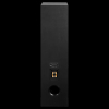 Emotiva Airmotiv T2 (Black) задняя панель