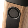 Focal Kanta N1 (Walnut High Gloss Mat/Taupe Mat)