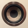 Focal Kanta N2 (Walnut Mat/Ivory Mat)