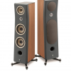 Focal Kanta N3 (Walnut Mat / Dark Grey Mat)