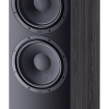 Heco Aurora 1000 (Ebony Black)