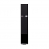 Martin Logan Motion 40i (Gloss Black) с решёткой