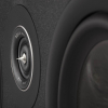 Polk Audio Reserve R300 (Black) ВЧ диффузор