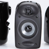 Polk Audio TL1600 (Black) сателлиты