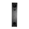 Rega RX5 Black Ash Напольная акустика