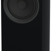 Tannoy Platinum F6 (Black)