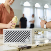 Tivoli Audio Model Two Digital White/Silver Беспроводная акустика