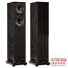 Напольная акустическая система Fyne Audio F501E (Black Ash)