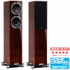 Напольная акустическая система Fyne Audio F501SP (Piano Gloss Walnut)