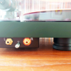 Pro-Ject Debut Carbon EVO (Satin Fir Green) задняя панель