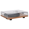 Pro-Ject T1 EVO Phono Walnut Проигрыватель винила