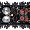 Интегральный усилитель Audio Analogue Maestro Anniversary