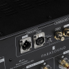 Parasound JC1 Plus (Black) аудио разъёмы