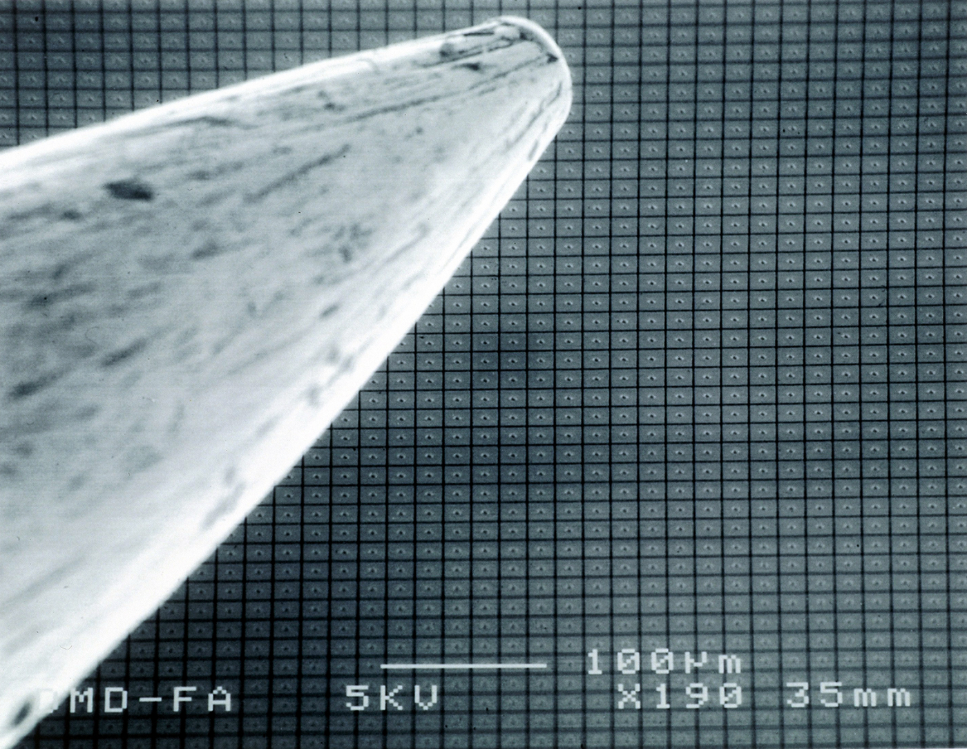 DLP Chip и наконечник иглы, под электронным микроскопом