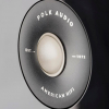 Polk Audio S15e (Washed Black Walnut) ВЧ диффузор